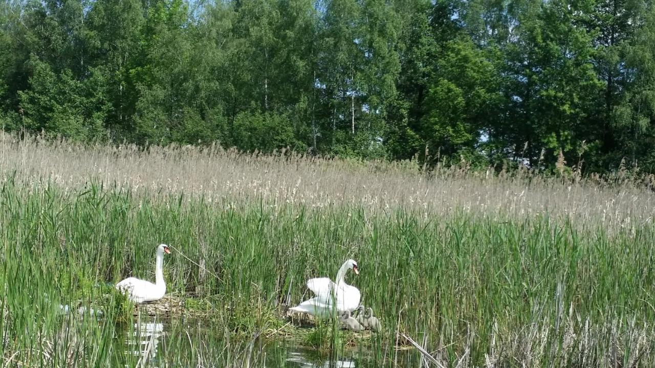 Domek Mazury - Jezioro ออร์ชิซ ภายนอก รูปภาพ